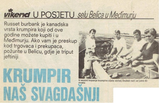 Berba krumpira, 1987.